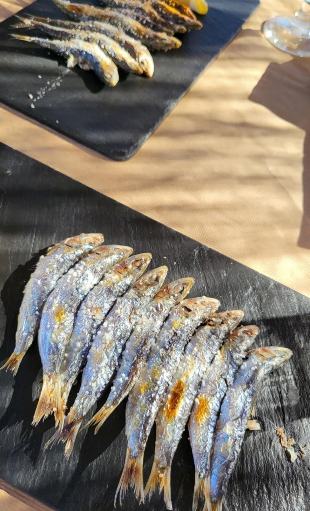 Minerva 242 Διαμέρισμα Benalmádena Εξωτερικό φωτογραφία